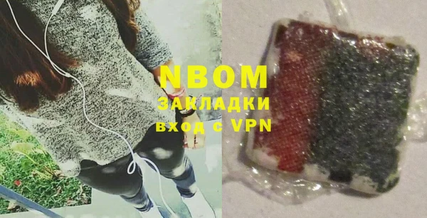индика Балахна