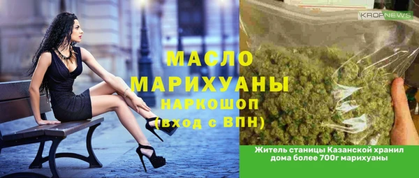 индика Балахна