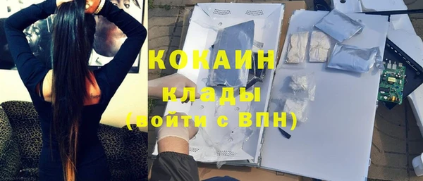 индика Балахна