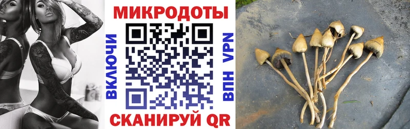 Псилоцибиновые грибы MAGIC MUSHROOMS  Таруса 